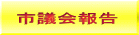 市議会報告